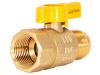 Flare Female Straight Gas Valve - SKU: 60005