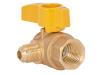 Flare Female Angle Gas Valve - SKU: 60032