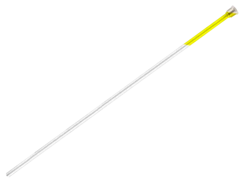 60066